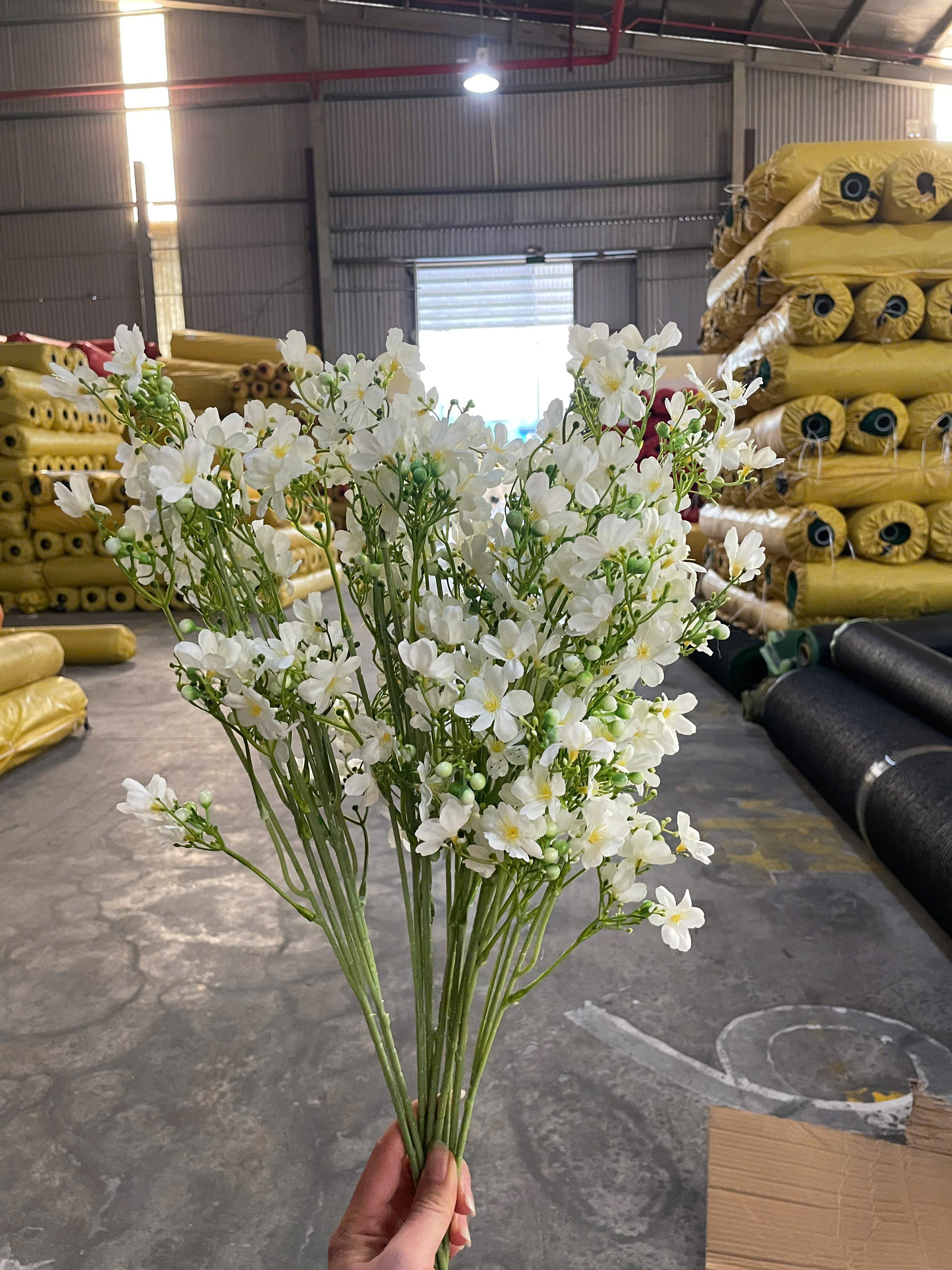 z7412599050500_d34b0723355648eaec43aa9ae5503840