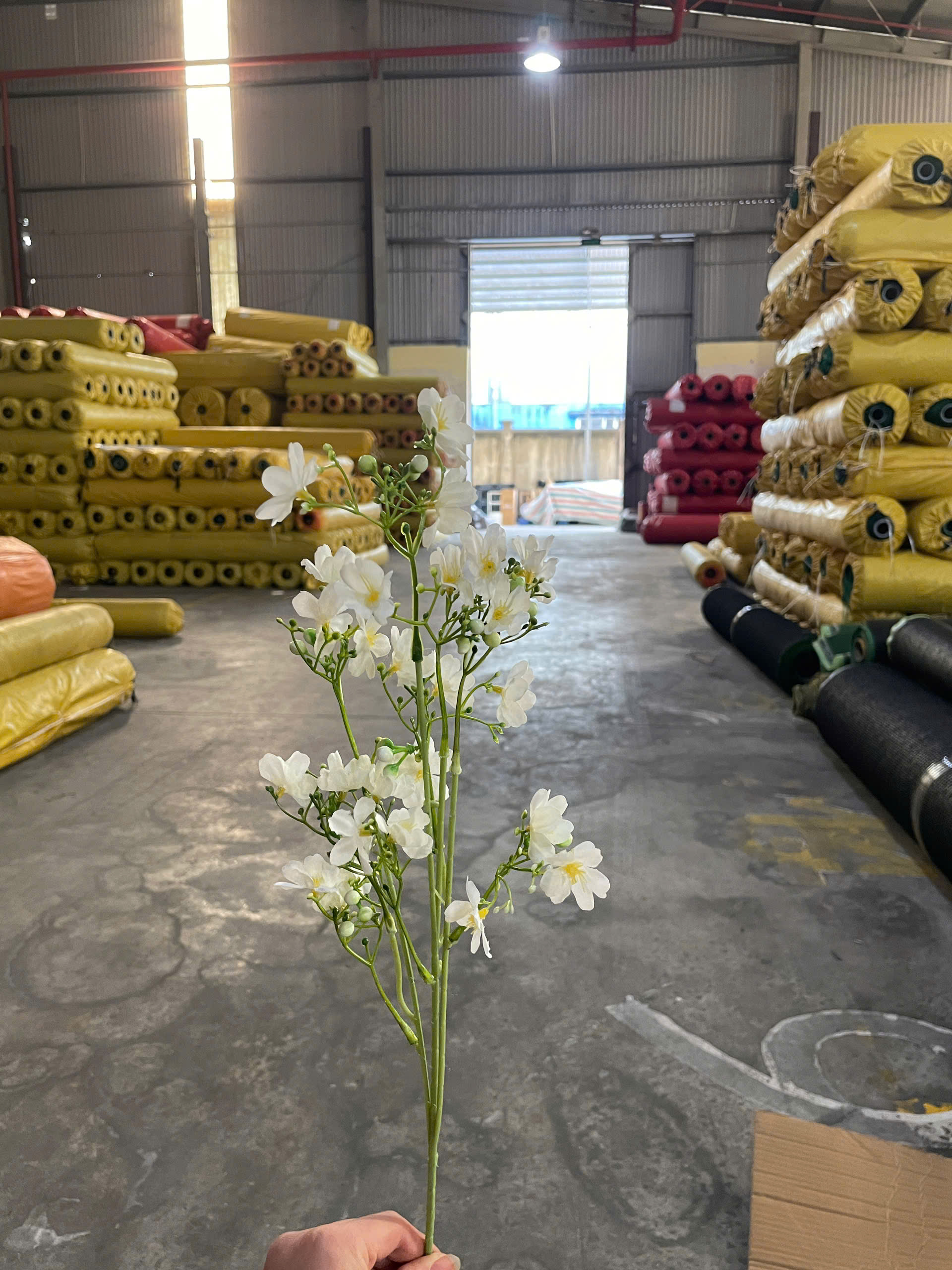 z7412599272403_e923f6205ce9de5b25d397d2c99787c8