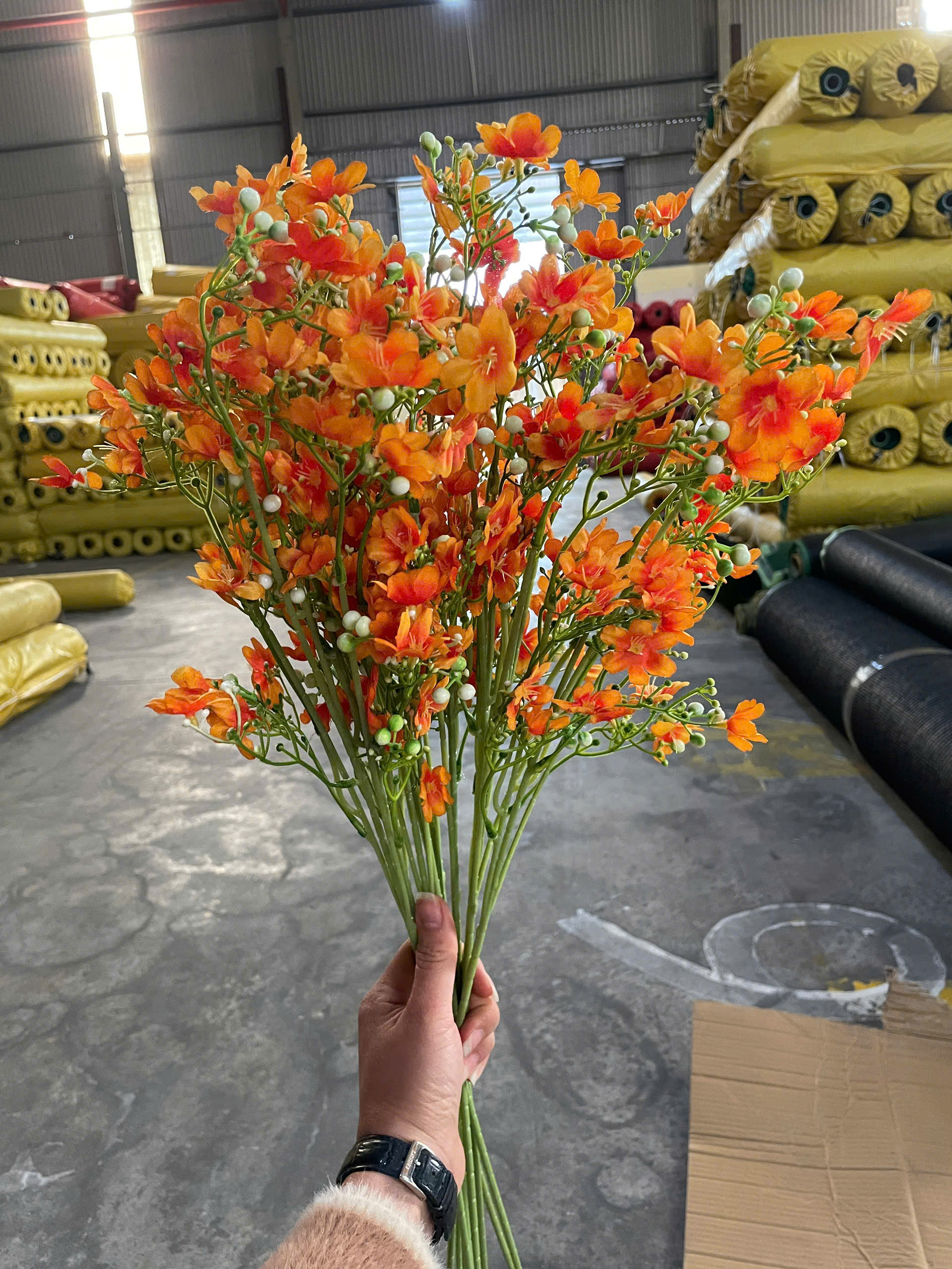 z7412599323093_e1b34eadd262be62de91facf2fd7b5c6